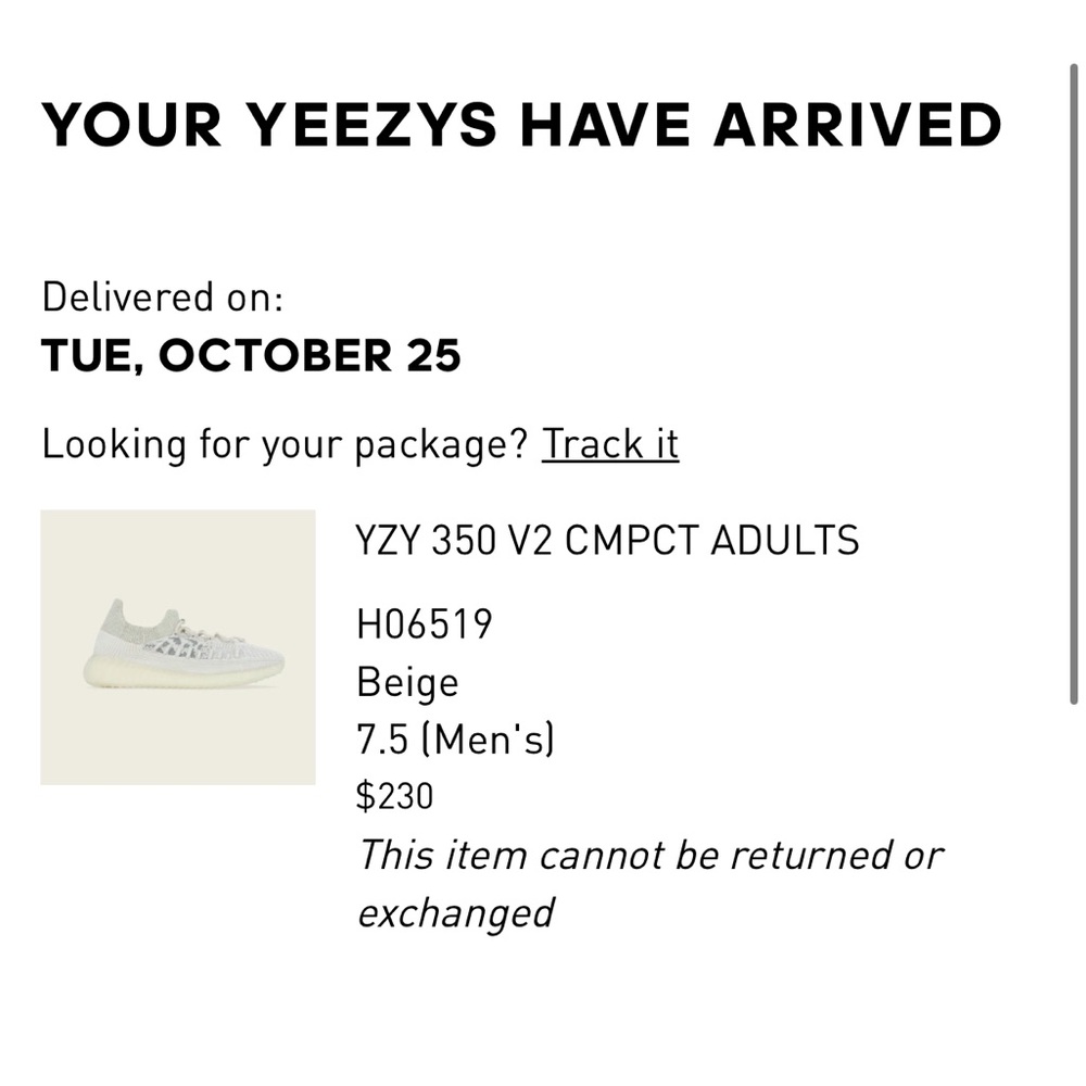 Yeezy 350 V2